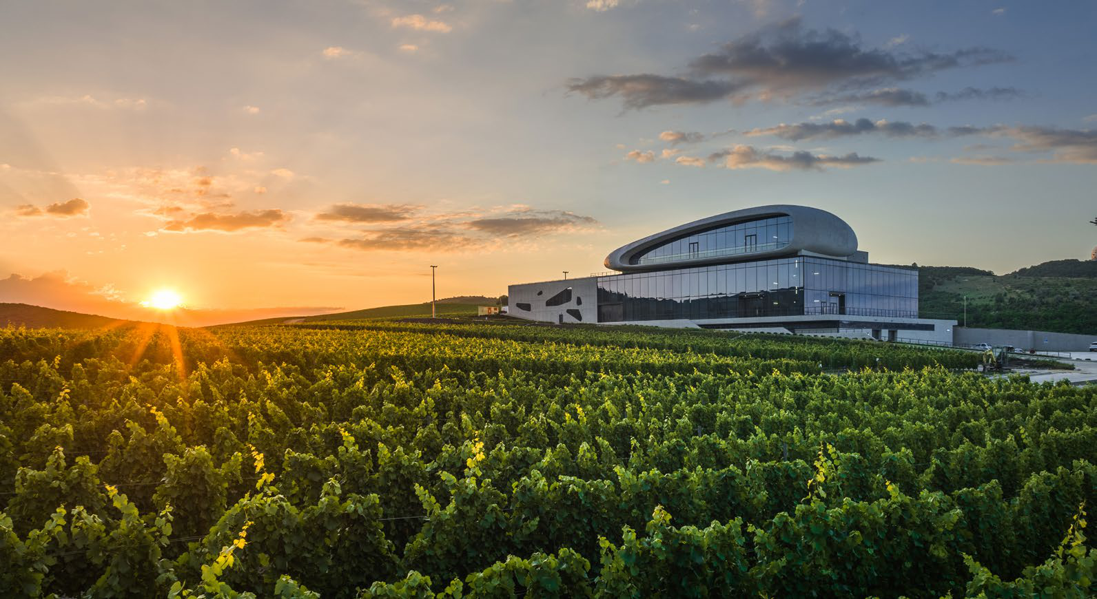 Прошлое и будущее российских виноделен