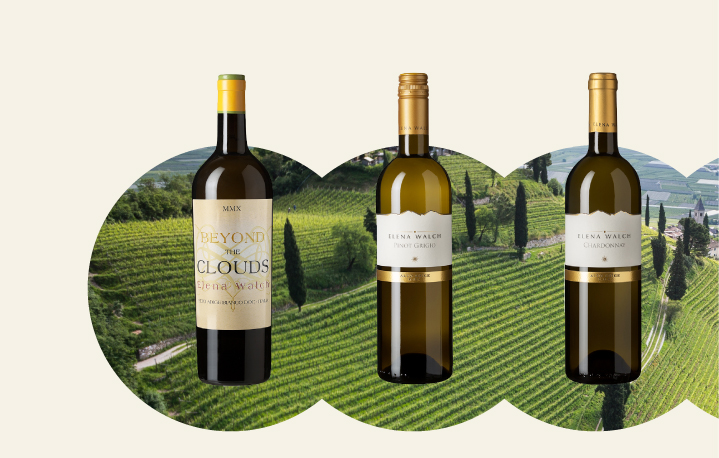 Звездный год Elena Walch