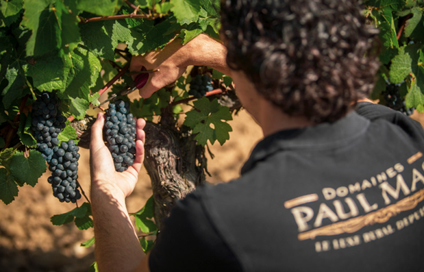 Сертификация