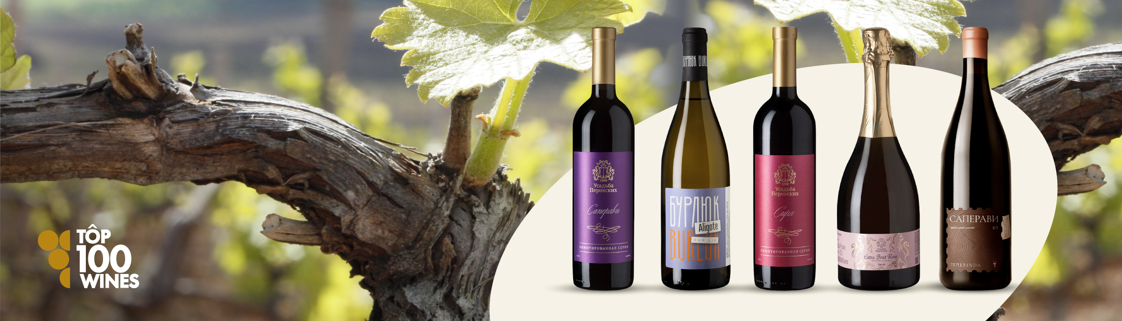 TOP-100 Wines 2025