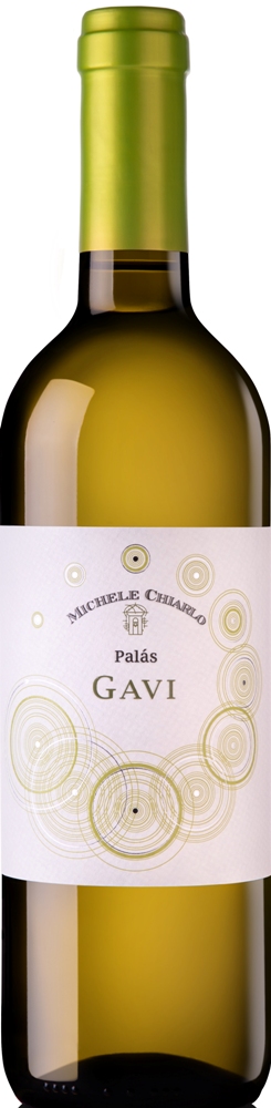 Гави Палас ДОКГ