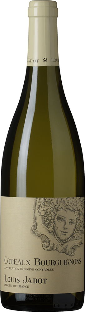 Кото Бургиньон АОС