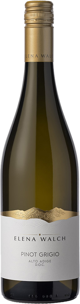 Пино Гриджио Альто Адидже ДОК