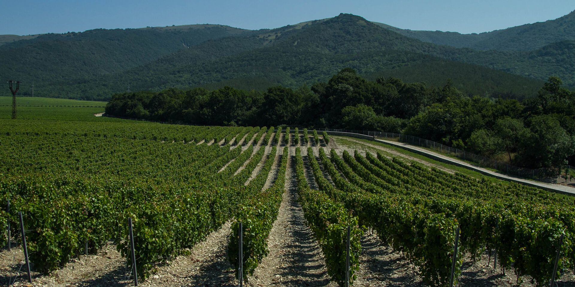 Новости и мероприятия