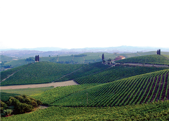 Микеле Кьярло: визионер Пьемонта