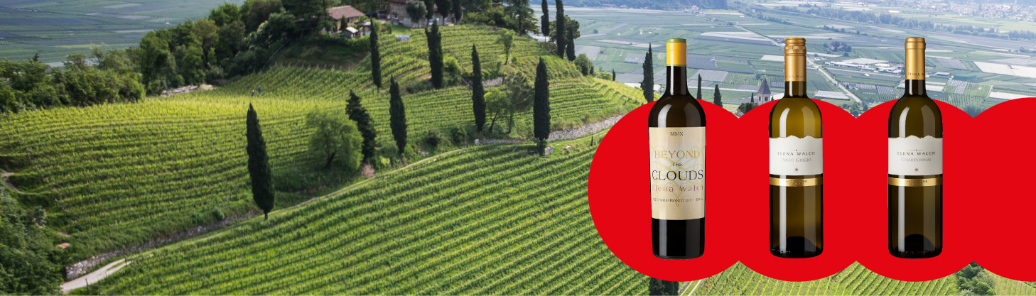 Звездный год Elena Walch