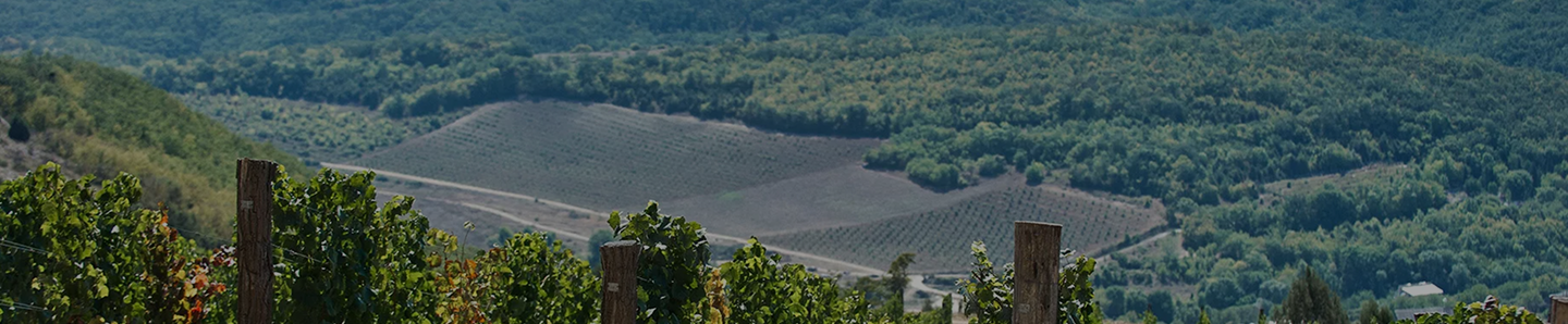 Для страницы &quot;пресса о нас&quot;