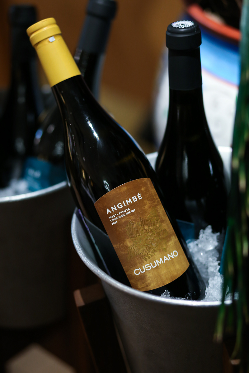 Приезд в Россию Диего Кузумано